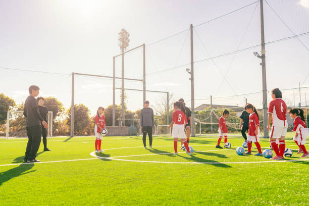 总结来说 总结来说