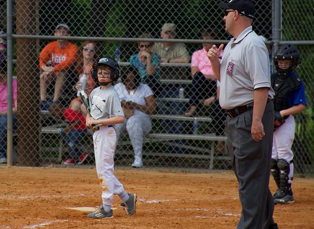 以期在国内 以期在国内
