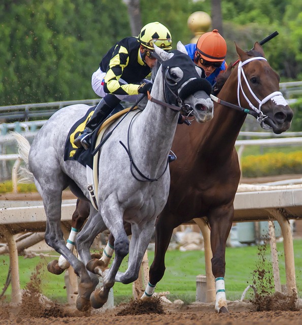 人球员的转 人球员的转