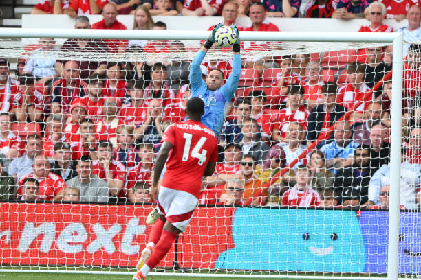 德国人的多 德国人的多